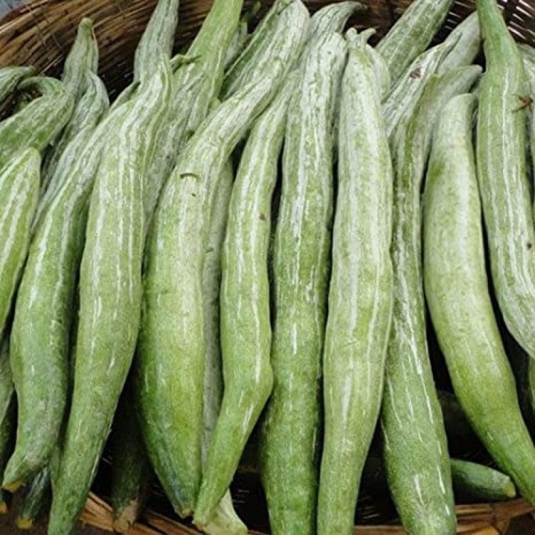 Snake Gourd (approx 500g) per unit